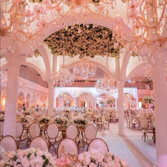 Meet your Posher, Dayba - Picture 1 of 1